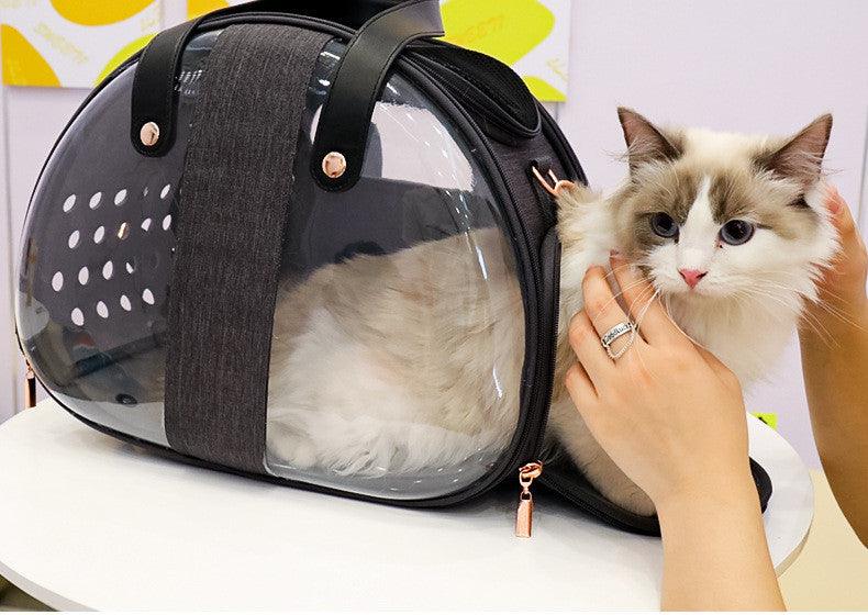 Transparent Puppy Cat Cane Backpack