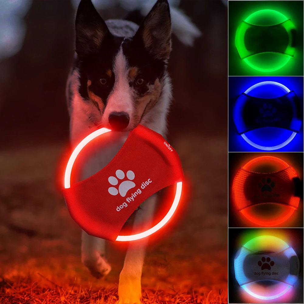 GlowFetch LED Dog Disc