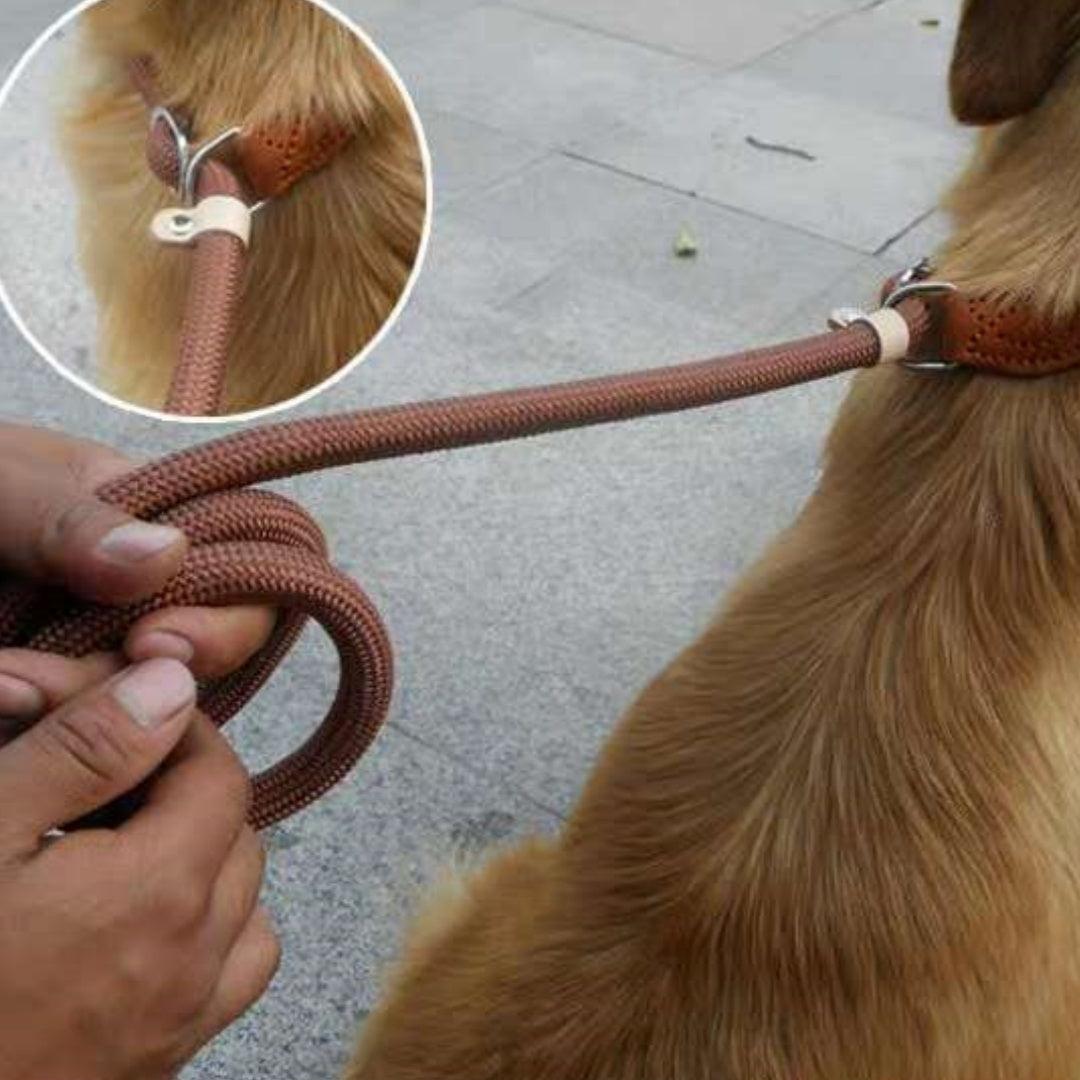 Nylon P Chain Hand Holding Rope Out Dog Leash Hand Holding Rope