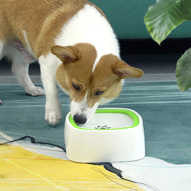 FlowGuard Slow Drink Dog Bowl