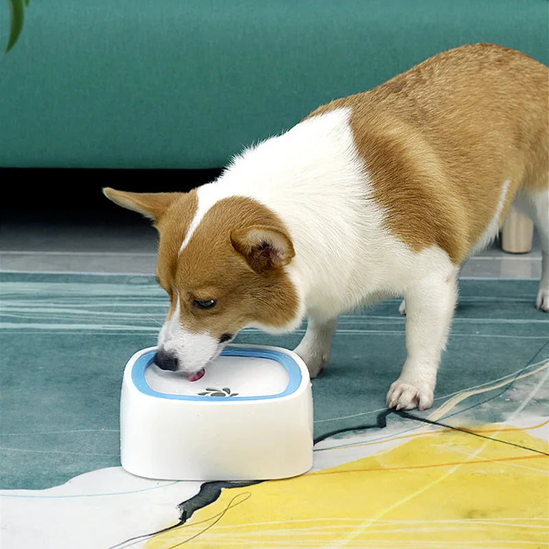 FlowGuard Slow Drink Dog Bowl