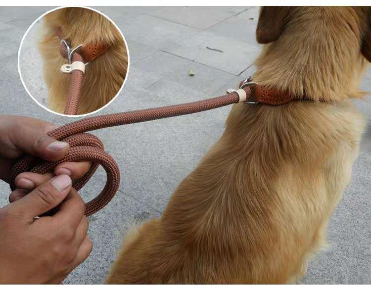 Nylon P Chain Hand Holding Rope Out Dog Leash Hand Holding Rope